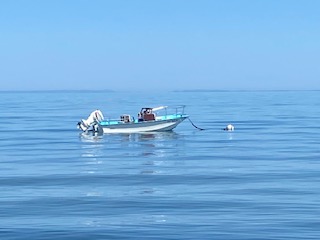 Whaler moored.jpg