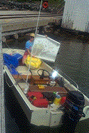 Photo:  Boston Whaler 15 ft