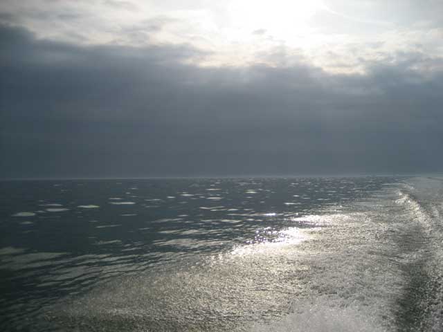Photo: Low autumn sun shines in a sparking boat wake in Lake Erie, November 2008.