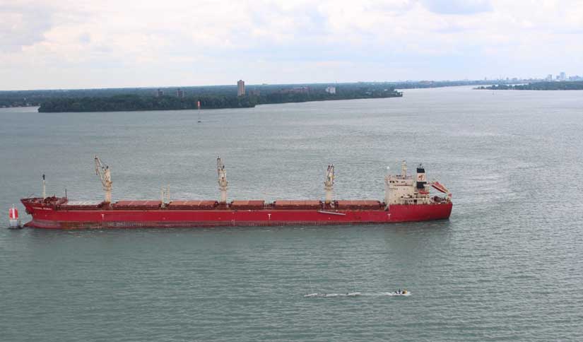 Aerial view of large ship aground in Lake St. Clair