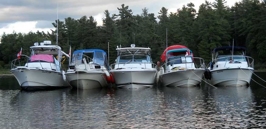 Photo: Five boat bows seen from ahead