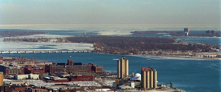 Buffalo in Upper Detroit River