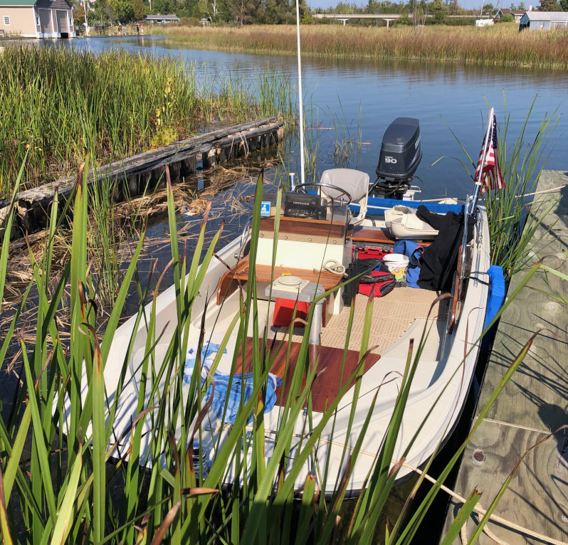STRIPER15.jpeg