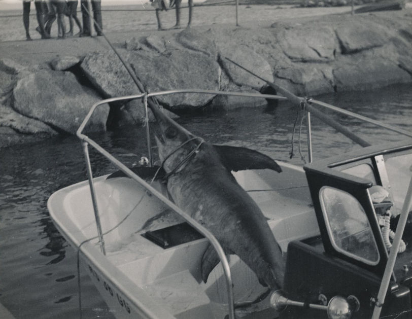 MontaukSwordFish.jpeg