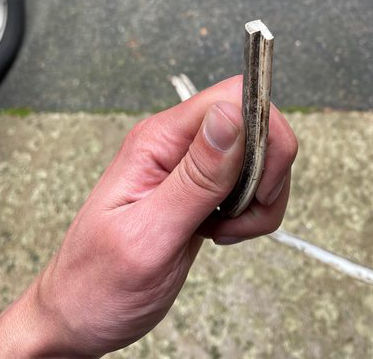 gasket-1.jpg