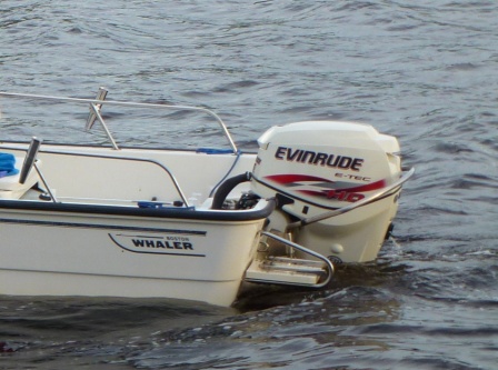 tswing3.jpg