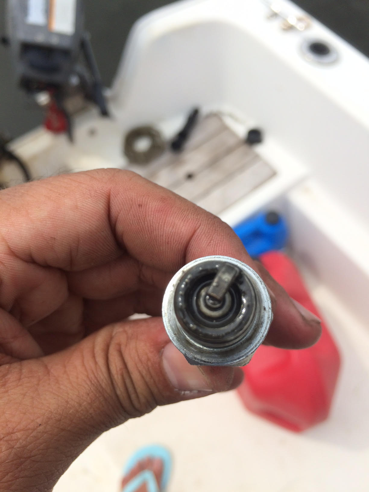 spark plug4.jpg