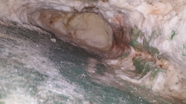 3-20170329_163618.jpg