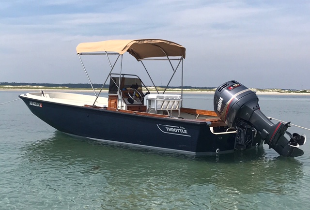 Whaler Bimini.jpg