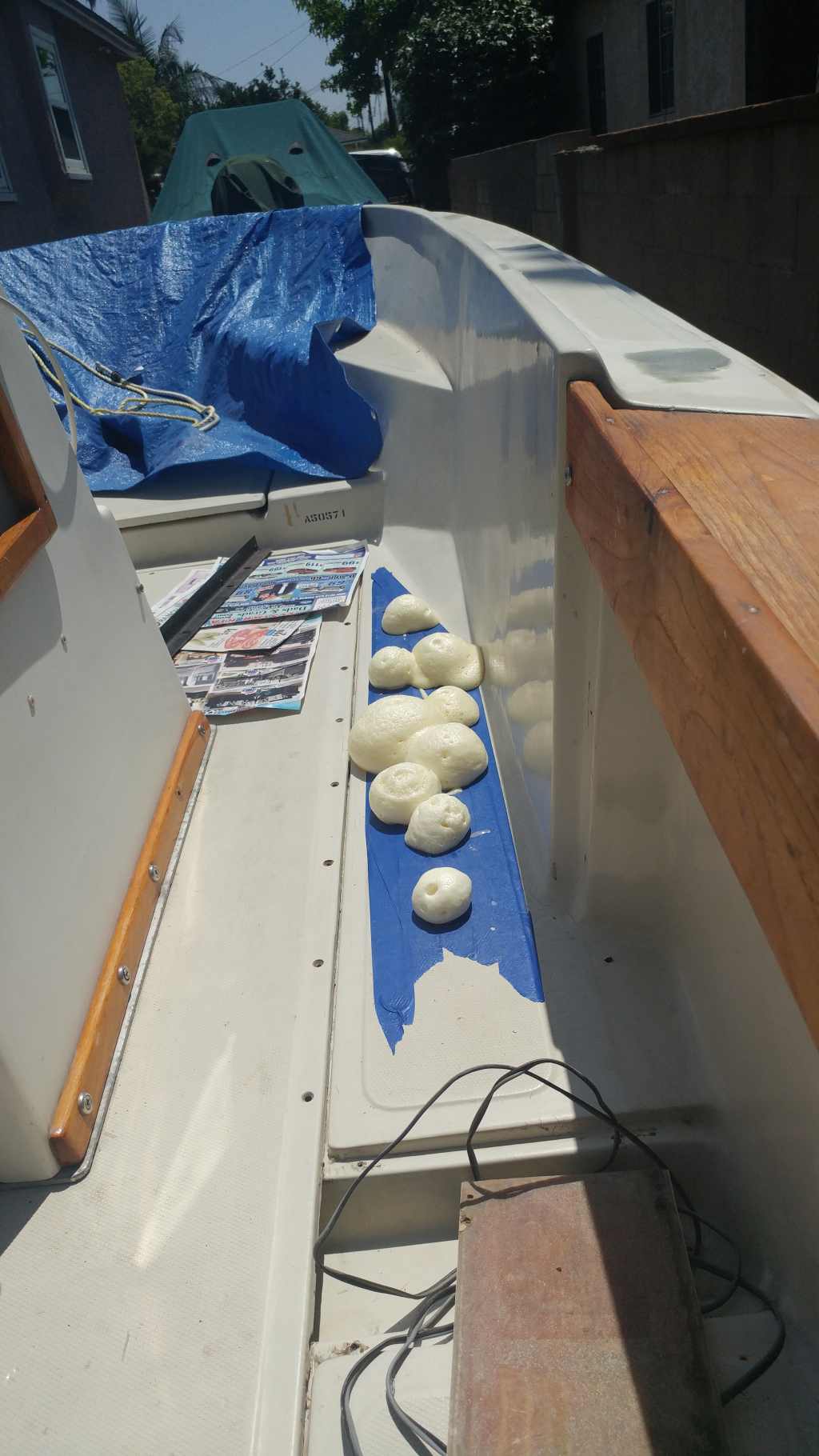 SNOW BALL 3A.jpg