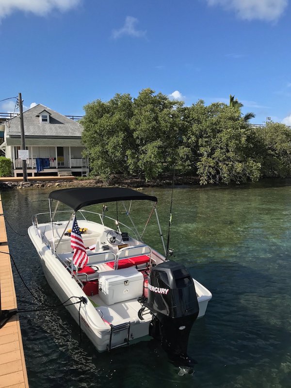 17 Whaler2.jpg