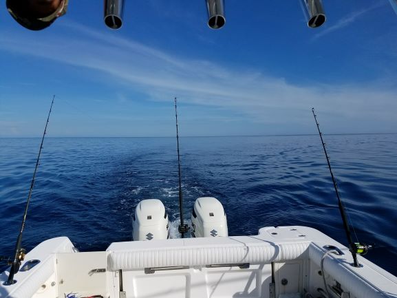 20170812_093207.jpg