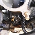 B0C36787-1531-492B-823F-AE16AEE20E15.jpeg