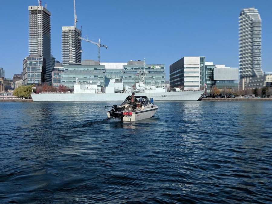 whaler1.jpg