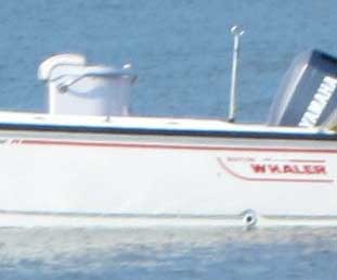 pylonA.jpg