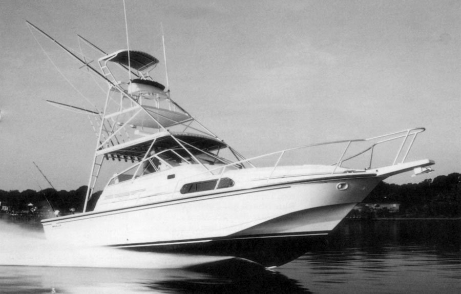 Whaler31L.jpg