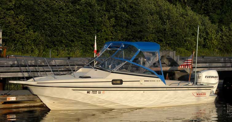 killbearDock0483abc755x398.jpg