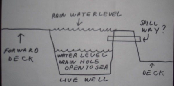 Deck locker drain.JPG