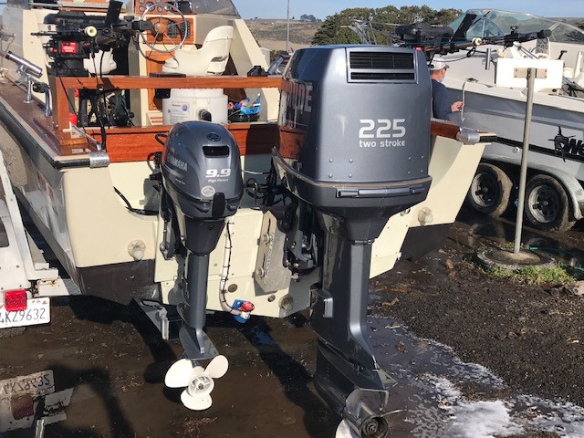 Whaler pic full transom both motors and scuppers.jpg