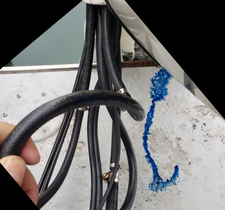 blueStuff.Rot.jpg