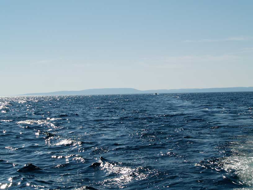 Photo: The Keweenaw peninsula as seen from seaward