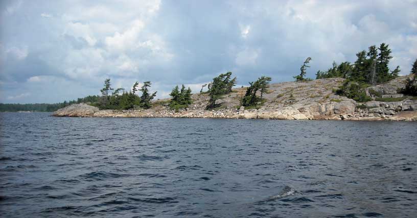 Photo: Pine trees growing at angle on rocky island.