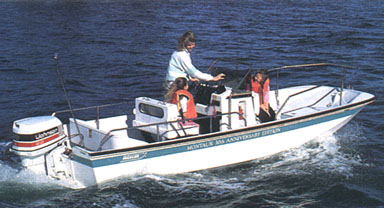 Photo: Whaler 17 Montauk 1991 30th Anniversary model