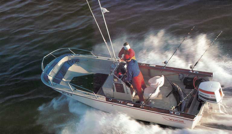 Photo: Whaler Outrage 20