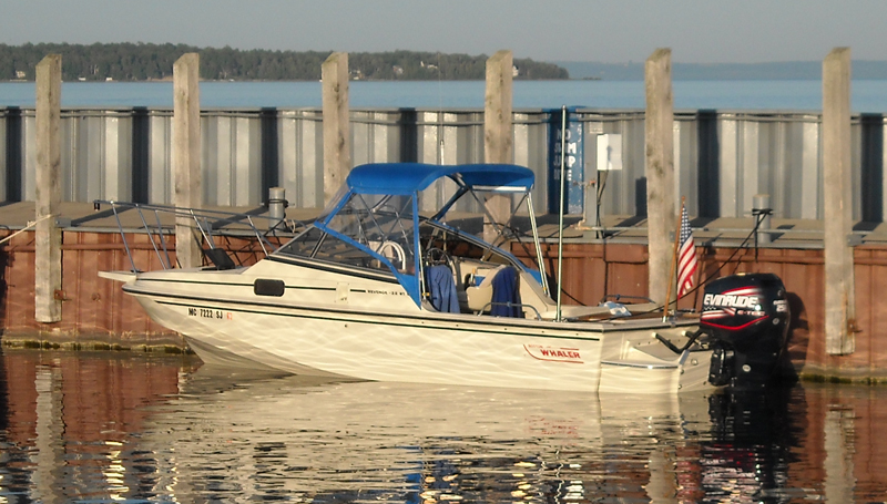 Photo: Evinrude E-TEC 250 H.O.outboard motor on Boston Whaler REVENGE 22 W-T WD.